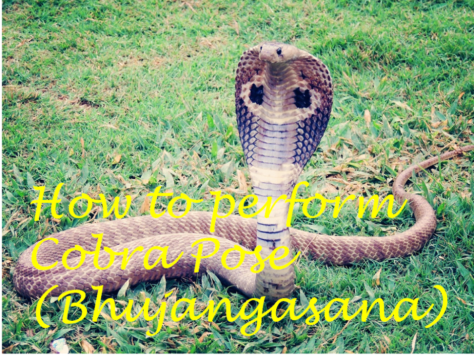 Cobra Pose (Bhujangasana) - Yoga is PossibleYoga is Possible